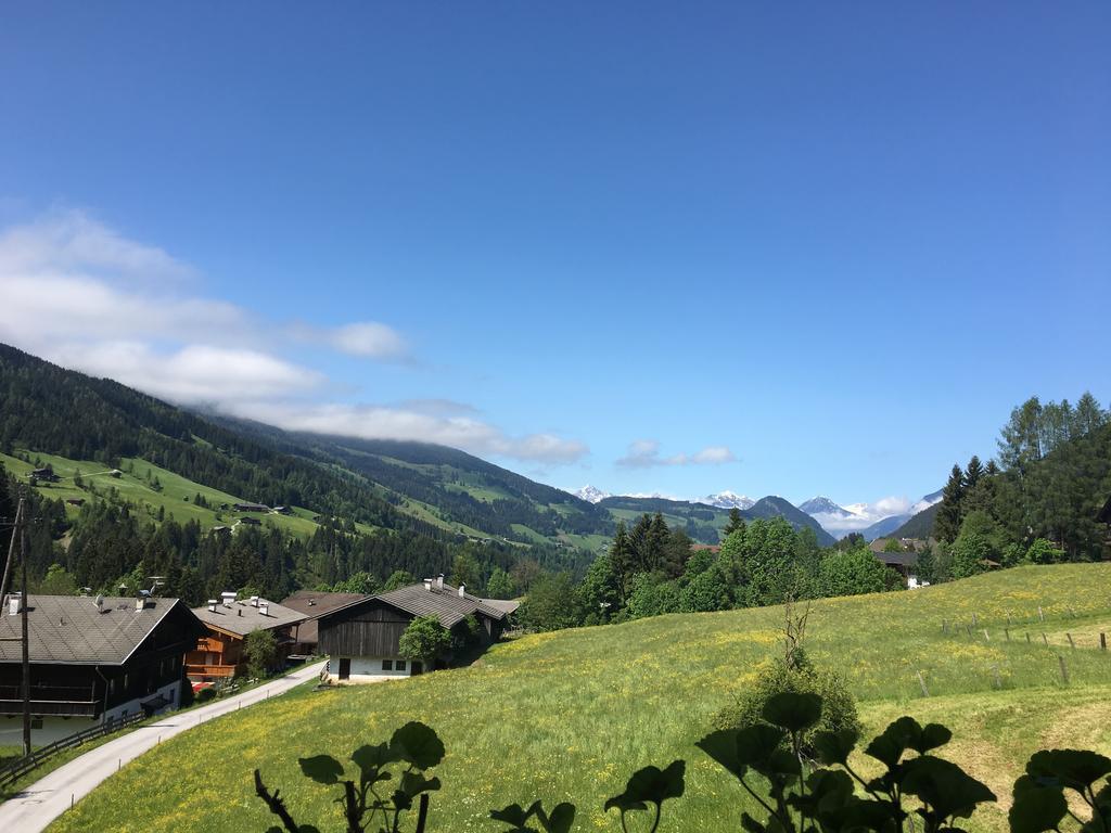 Appartement Hinter-Grundler Alpbach Εξωτερικό φωτογραφία