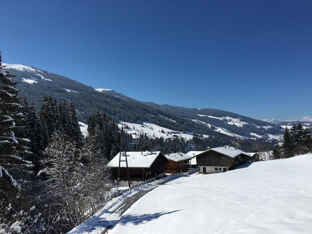 Appartement Hinter-Grundler Alpbach Εξωτερικό φωτογραφία